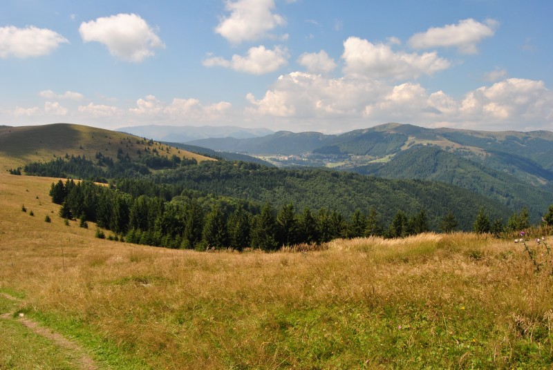 pepajs.cz